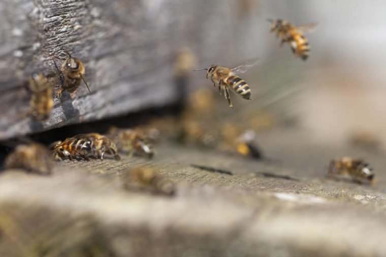 10 Extraordinary Careers You Never Knew Existed