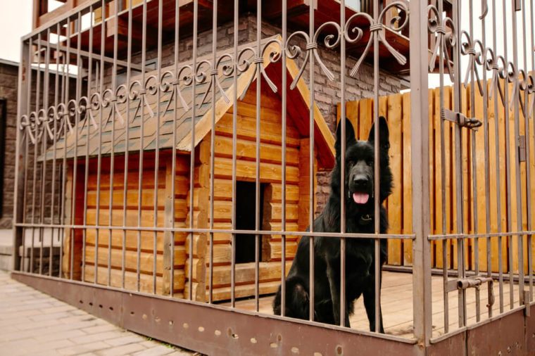 10 Extraordinary Careers You Never Knew Existed