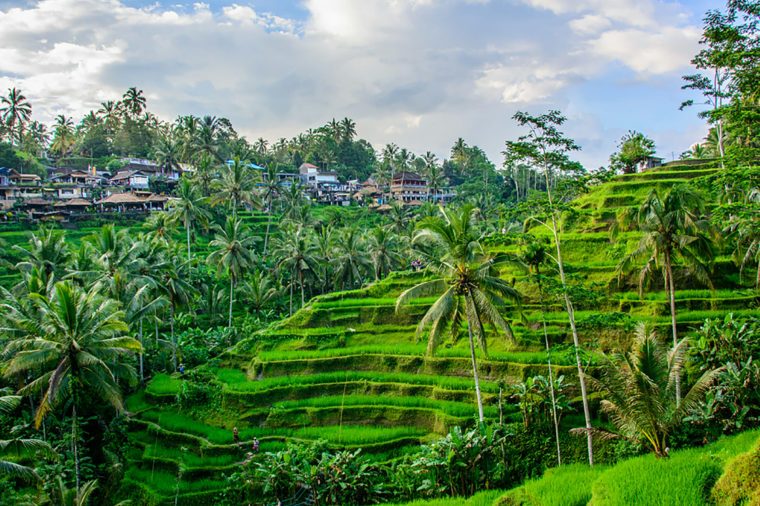 Top Indonesian Travel Destinations: Ubud and Beyond