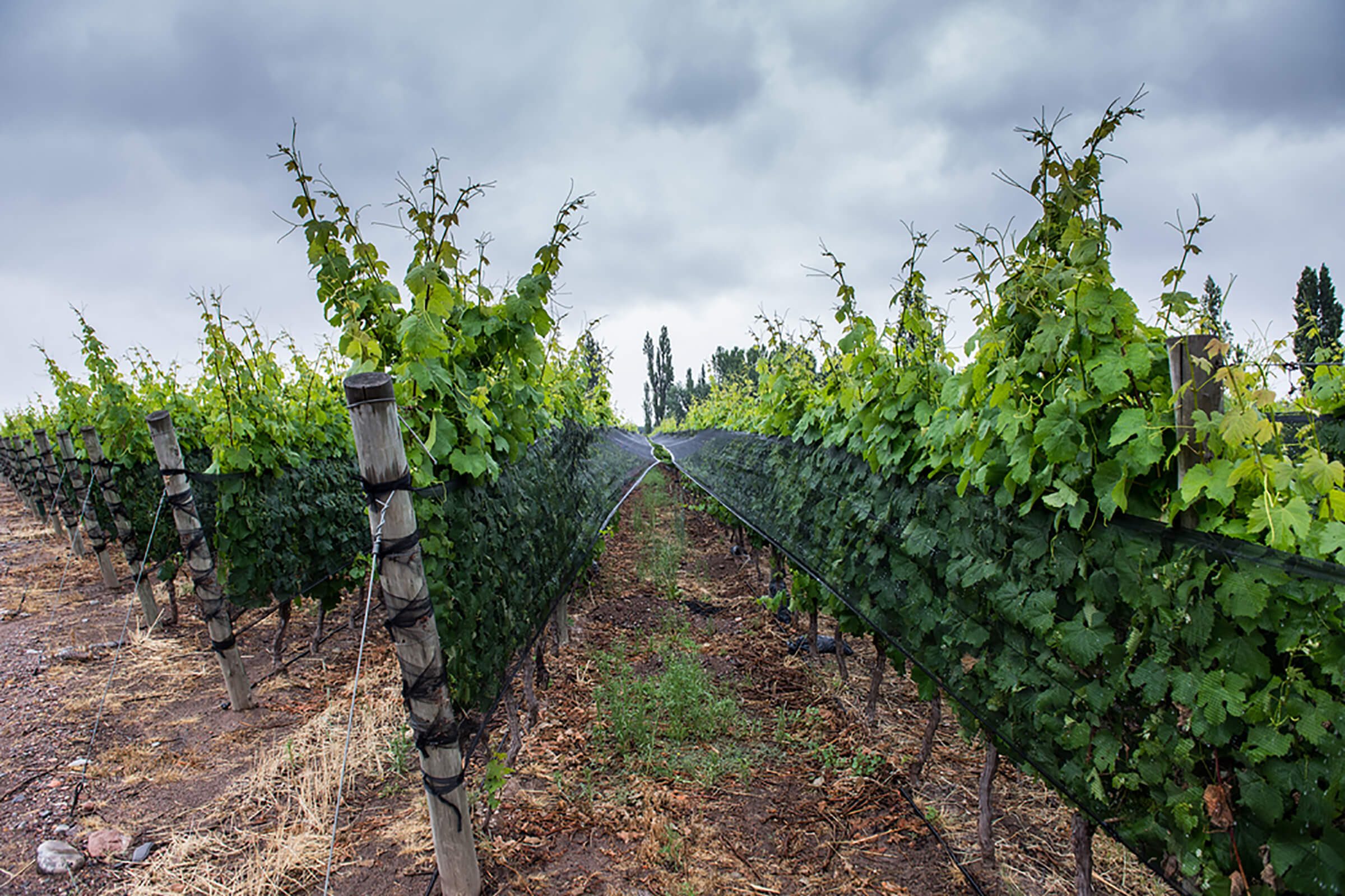 Explore South America: Machu Picchu & Other Must-Visit Destinations