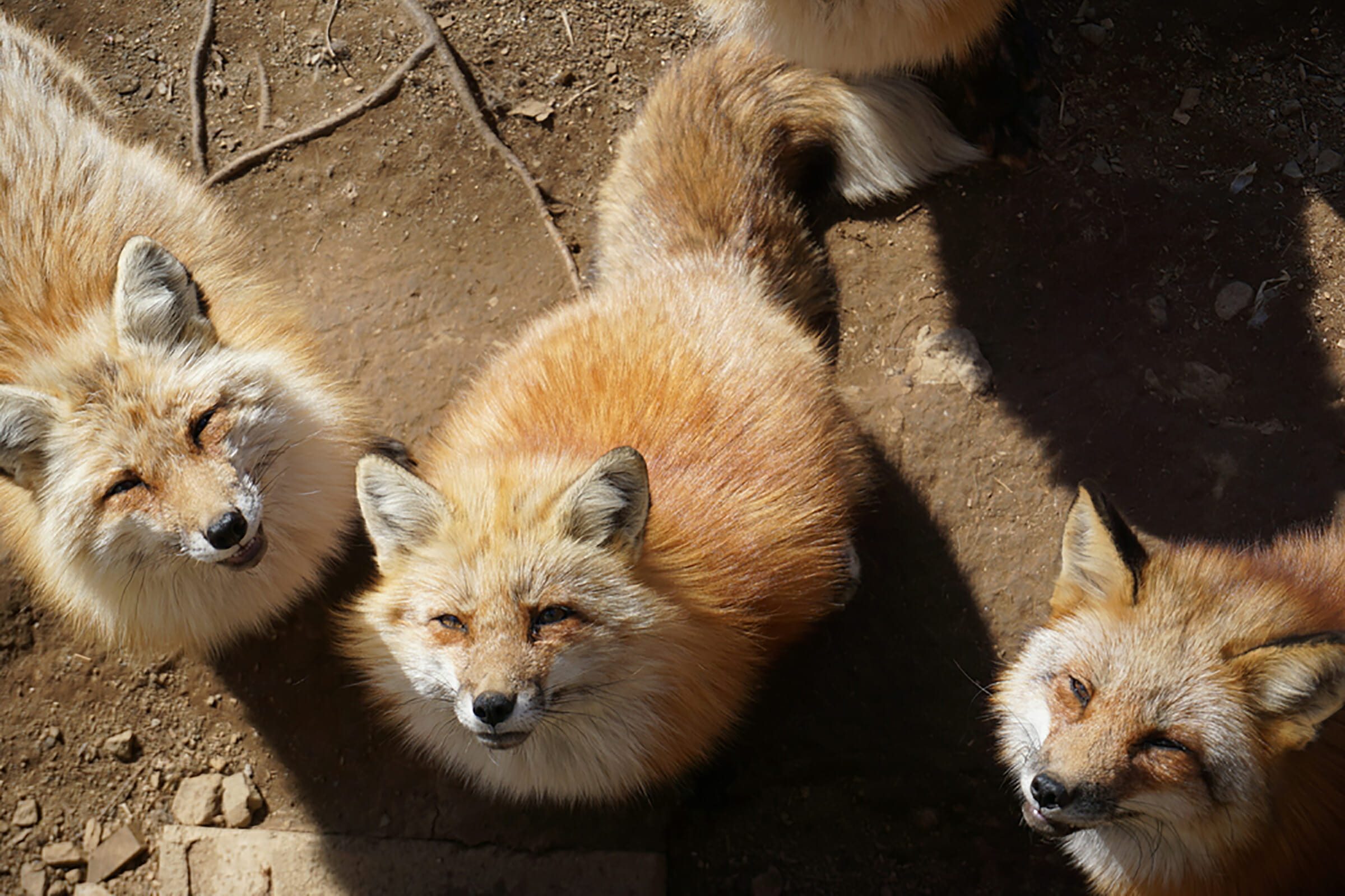 Discover Japan s Best-Kept Secret Destinations You Won t Find Anywhere Else