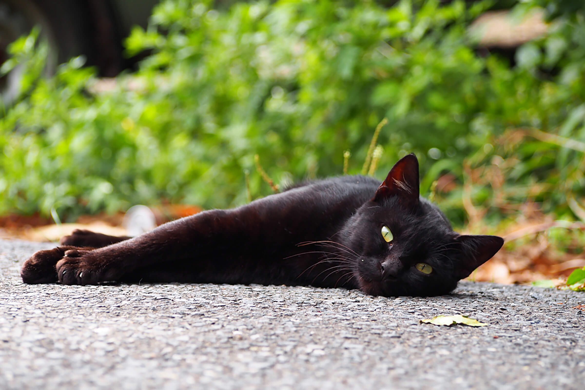 Discover Japan s Best-Kept Secret Destinations You Won t Find Anywhere Else