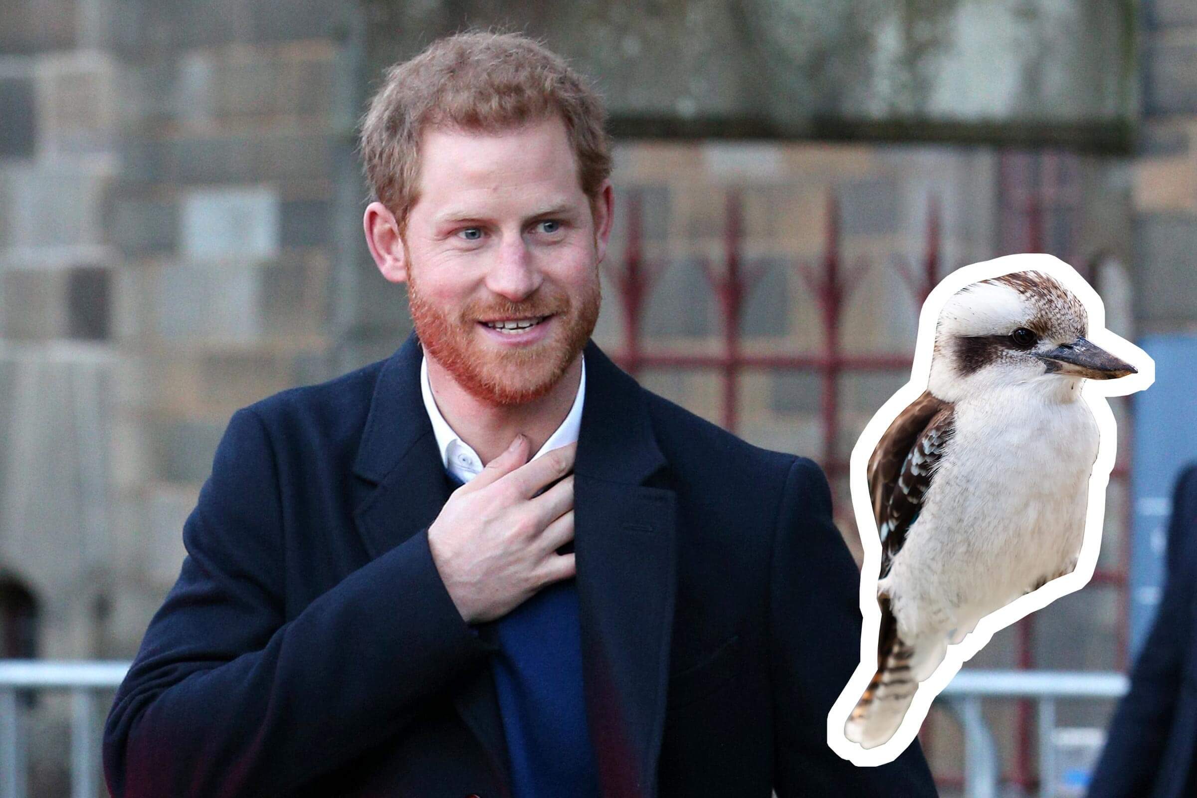 12 Unusual and Fascinating Gifts the Royal Family Has Received