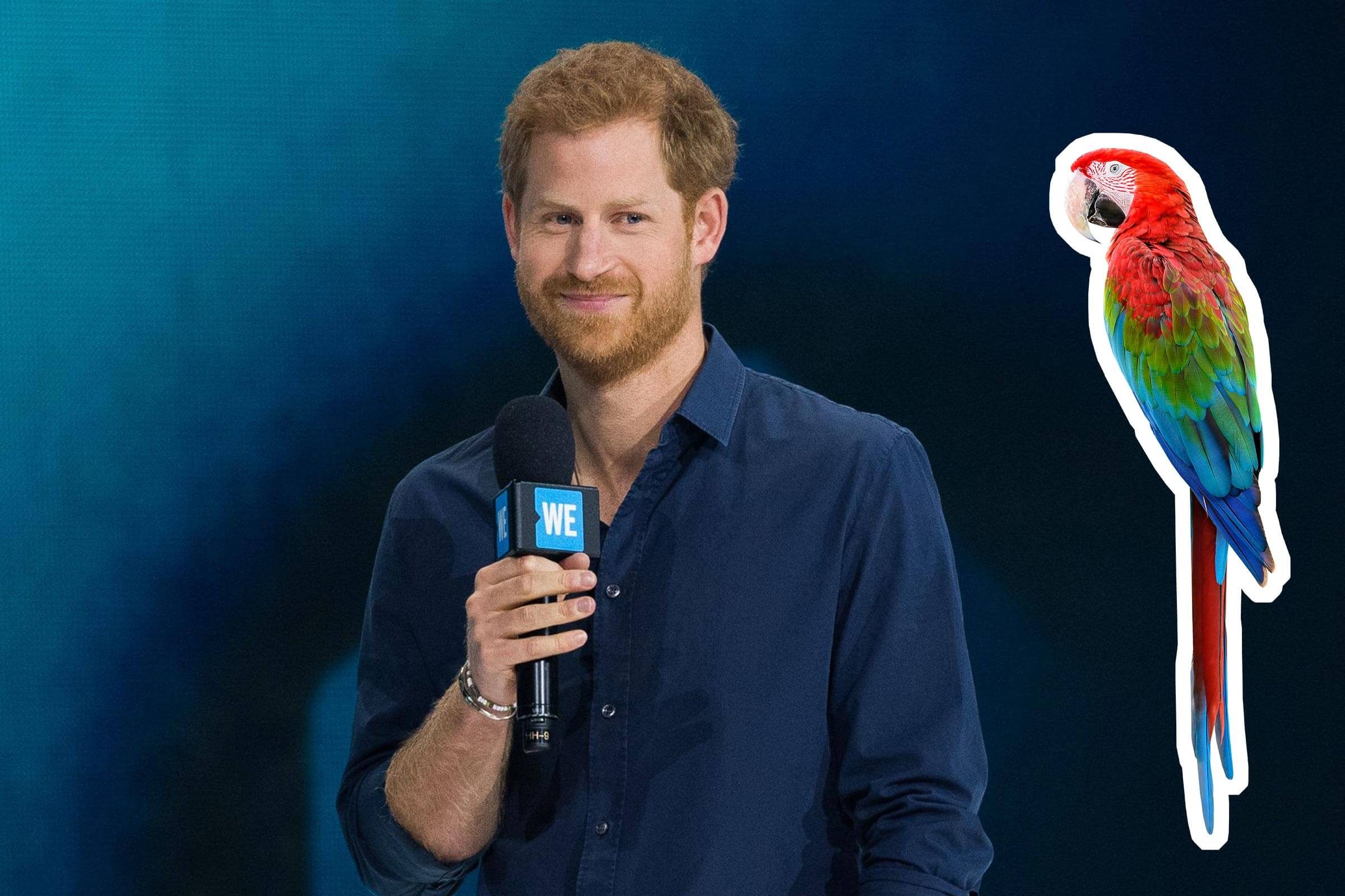 12 Unusual and Fascinating Gifts the Royal Family Has Received