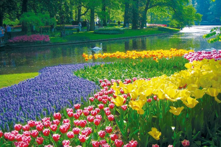 Top Cruises for Every Traveler: Family, Luxury, Adventure & More