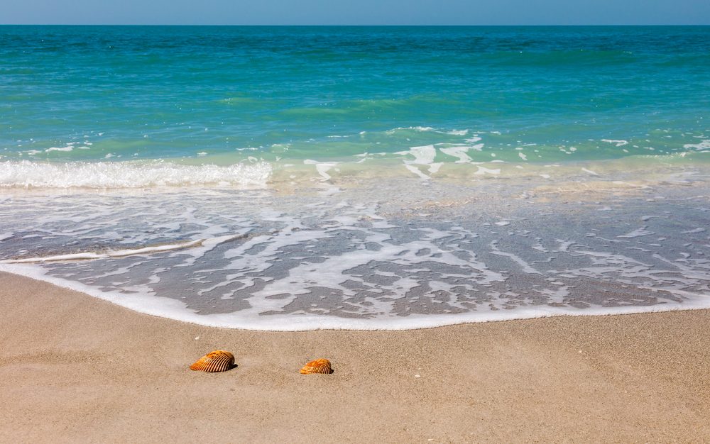 The Ultimate Guide to 15 Family-Friendly Spring Break Destinations