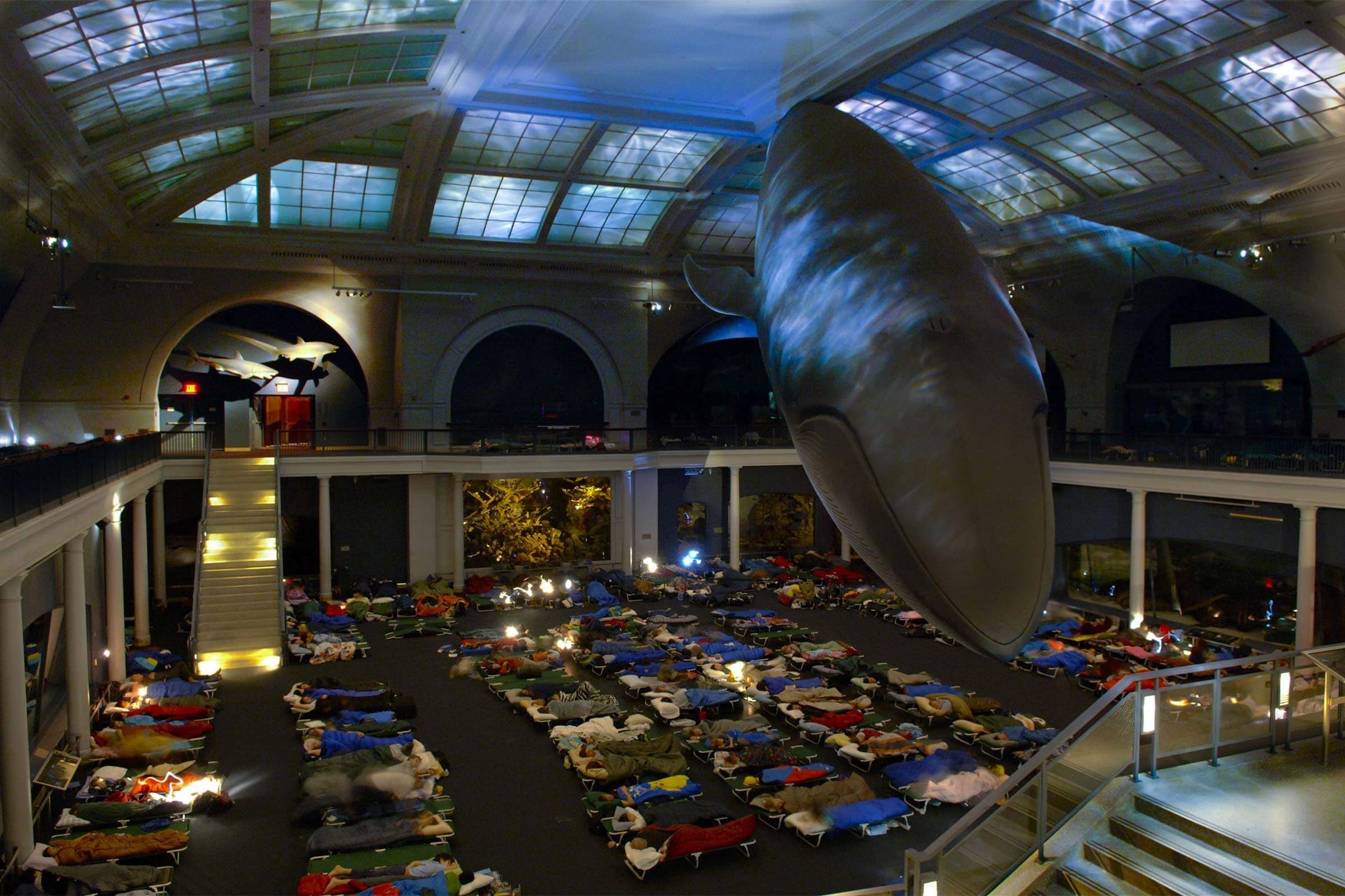 13 Surprising Museums That Offer Overnight Stay Experiences