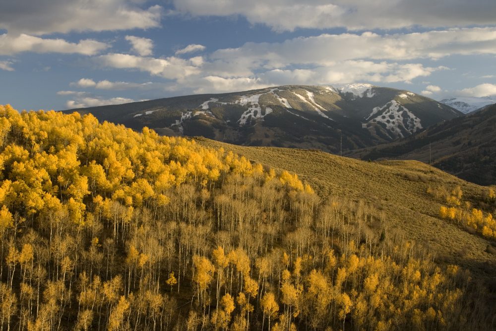 When to Visit Global Destinations for the Best Value