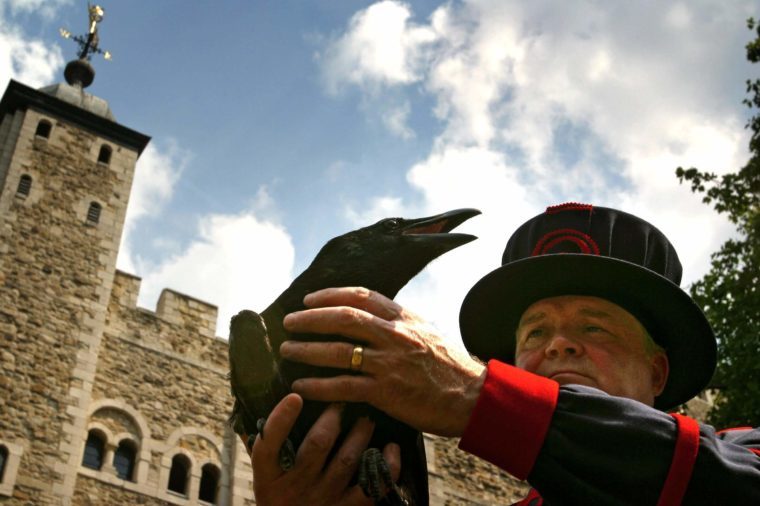 12 Unique Careers Not Found in the United States