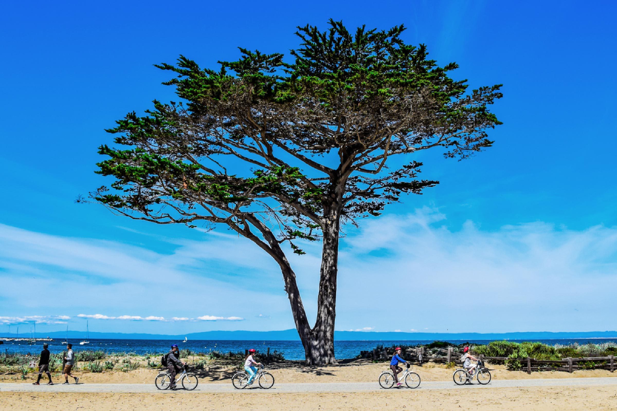 Top U.S. Bike Trails Offering Stunning Coastal Views
