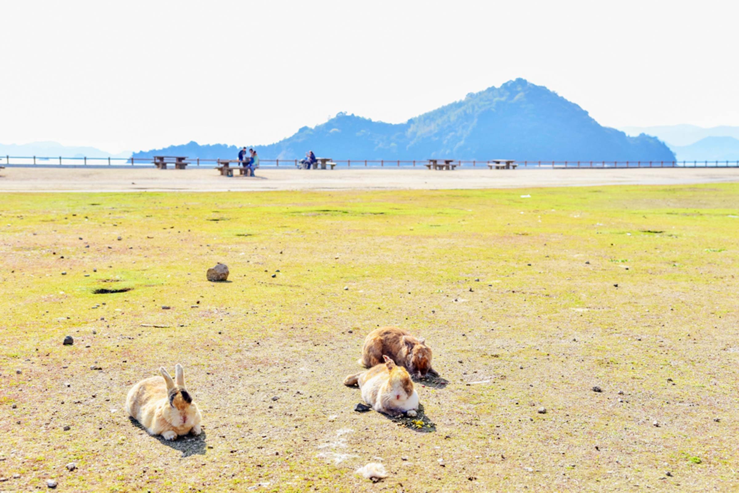 30 Hidden Island Escapes You Must Explore