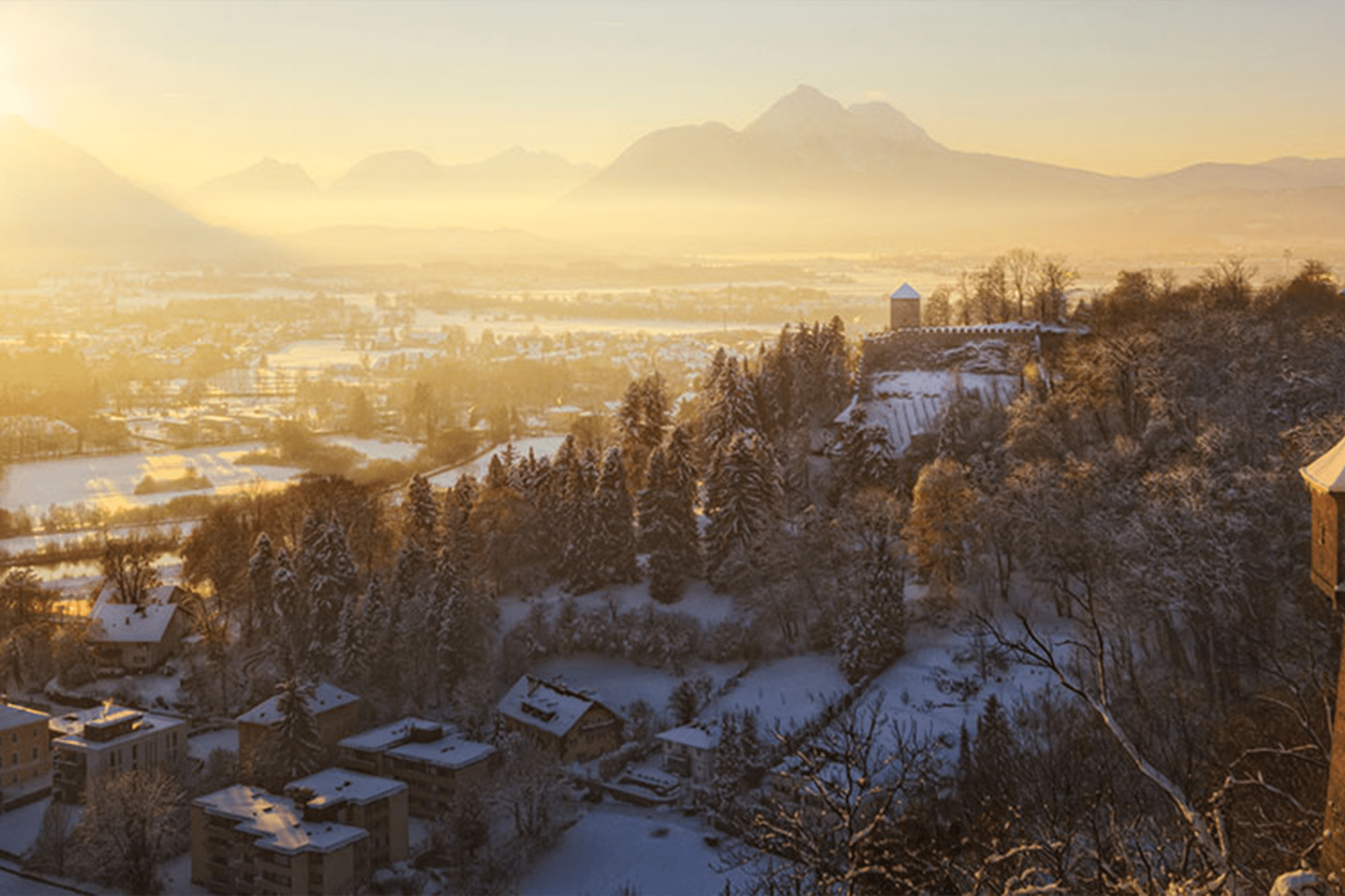 Find Your Ideal Cruise: Top Selections for Every Month