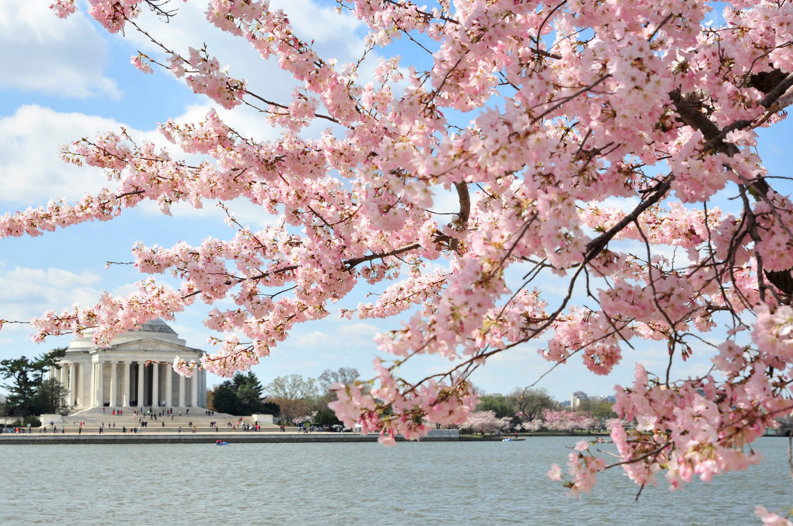 21 Surprising Insights About Washington, D.C. You Won t Believe