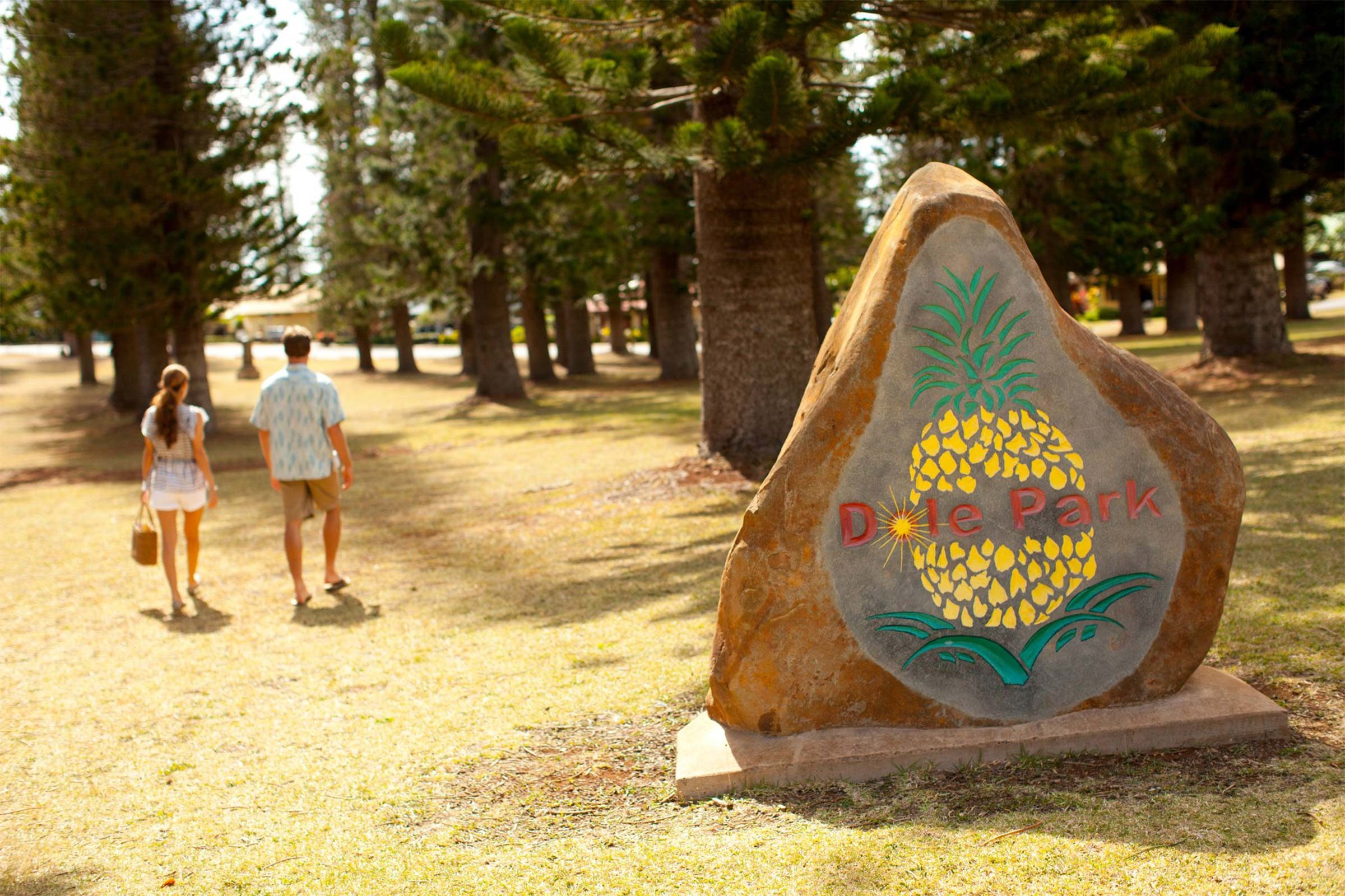 Four Seasons Lanai: America s Most Romantic Secret Island