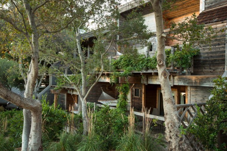 Top 15 Nature‑Inspired Hotels for Unforgettable Getaways