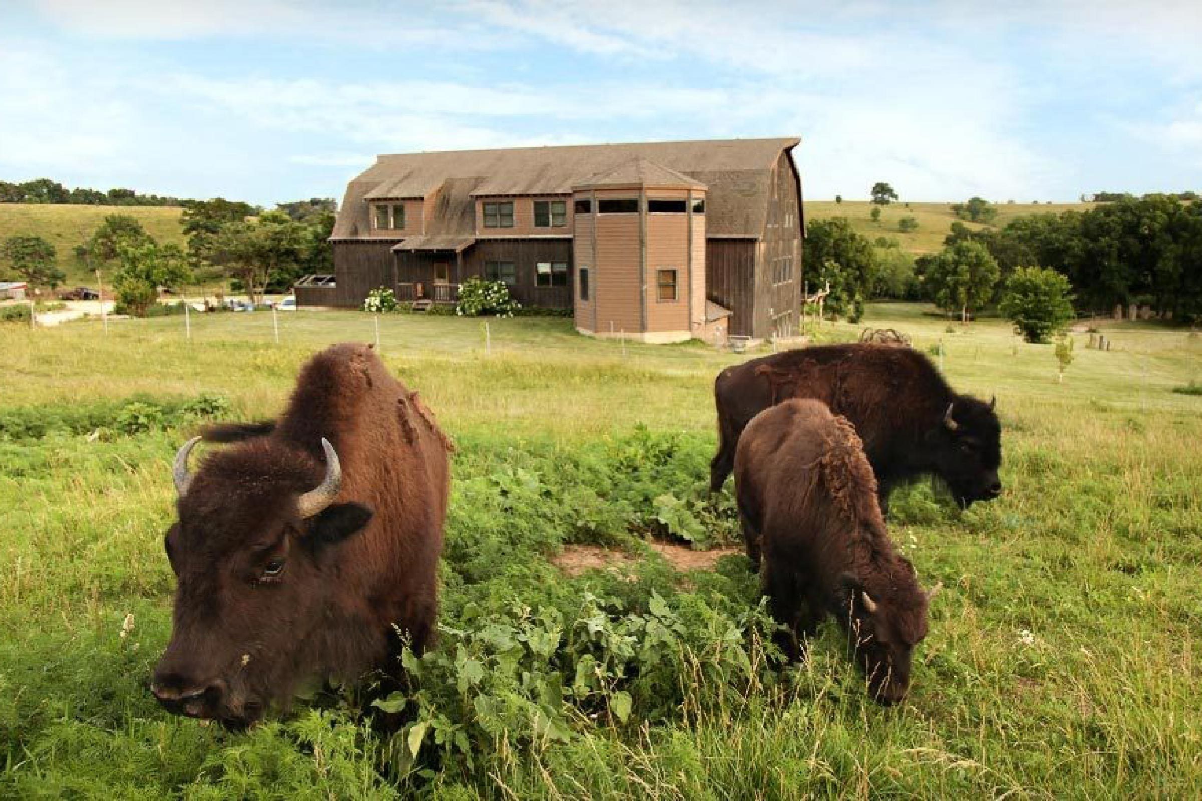 50 Must-Visit Overnight Stays: From Historic B&Bs to Luxury Retreats