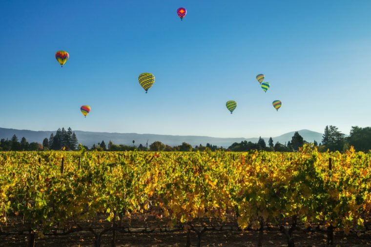 Explore the Nation: 13 Must‑Do Bike Tours Across the U.S.