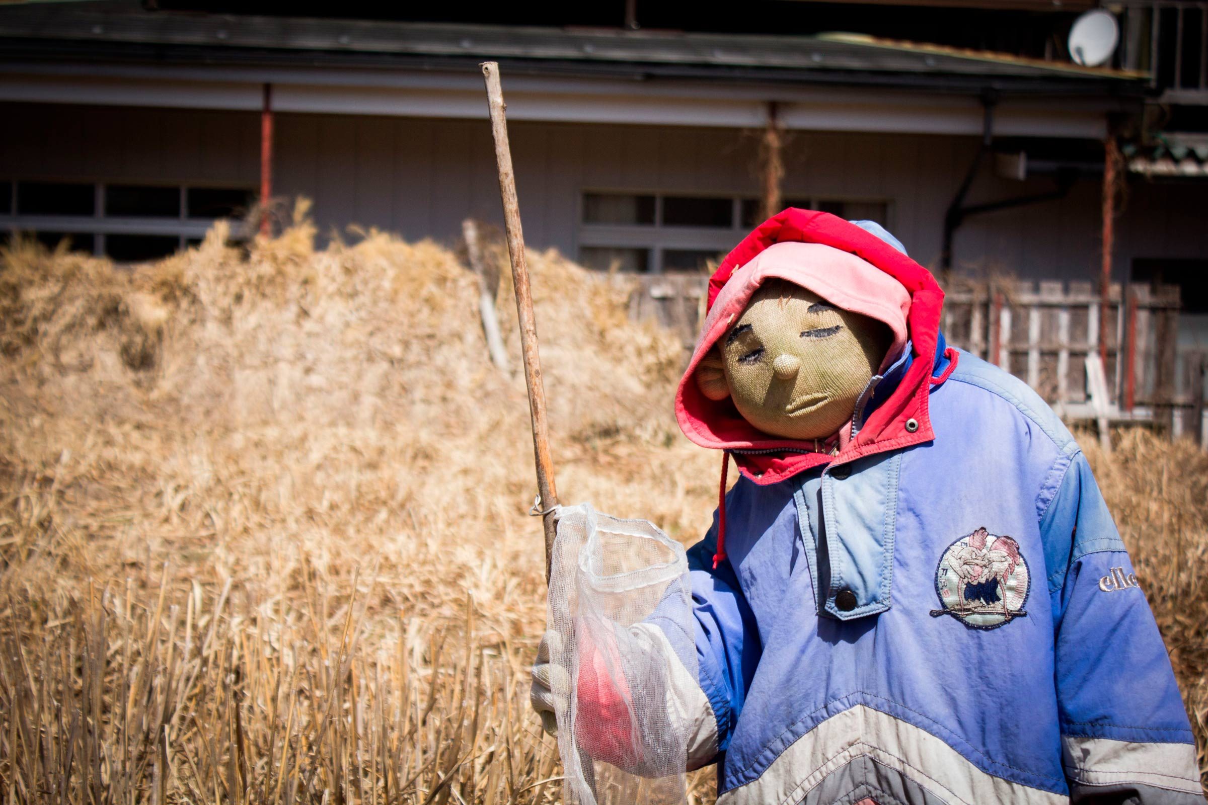 13 Fascinating Bizarre Travel Destinations Around the World