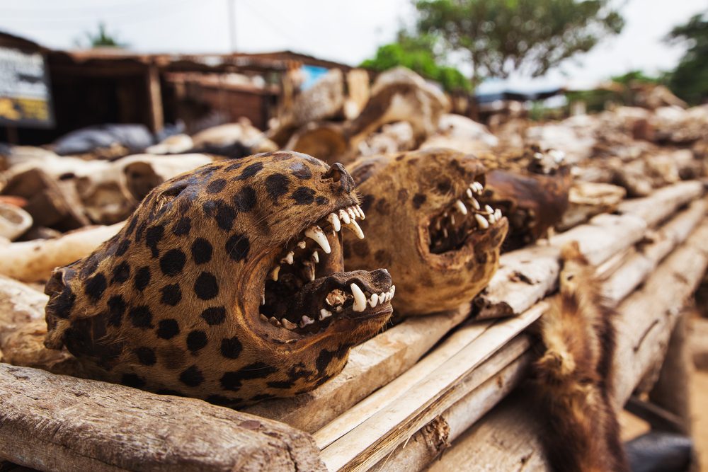 13 Fascinating Bizarre Travel Destinations Around the World