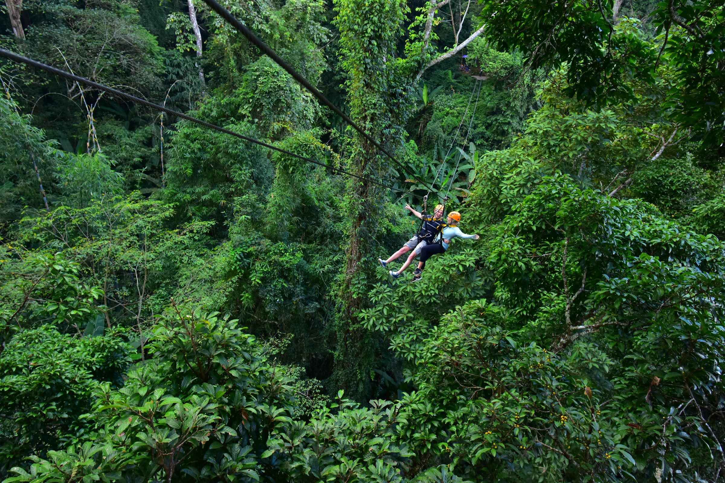 Top 10 Thrilling Zip Lines Worldwide: Adventure and Scenic Splendor