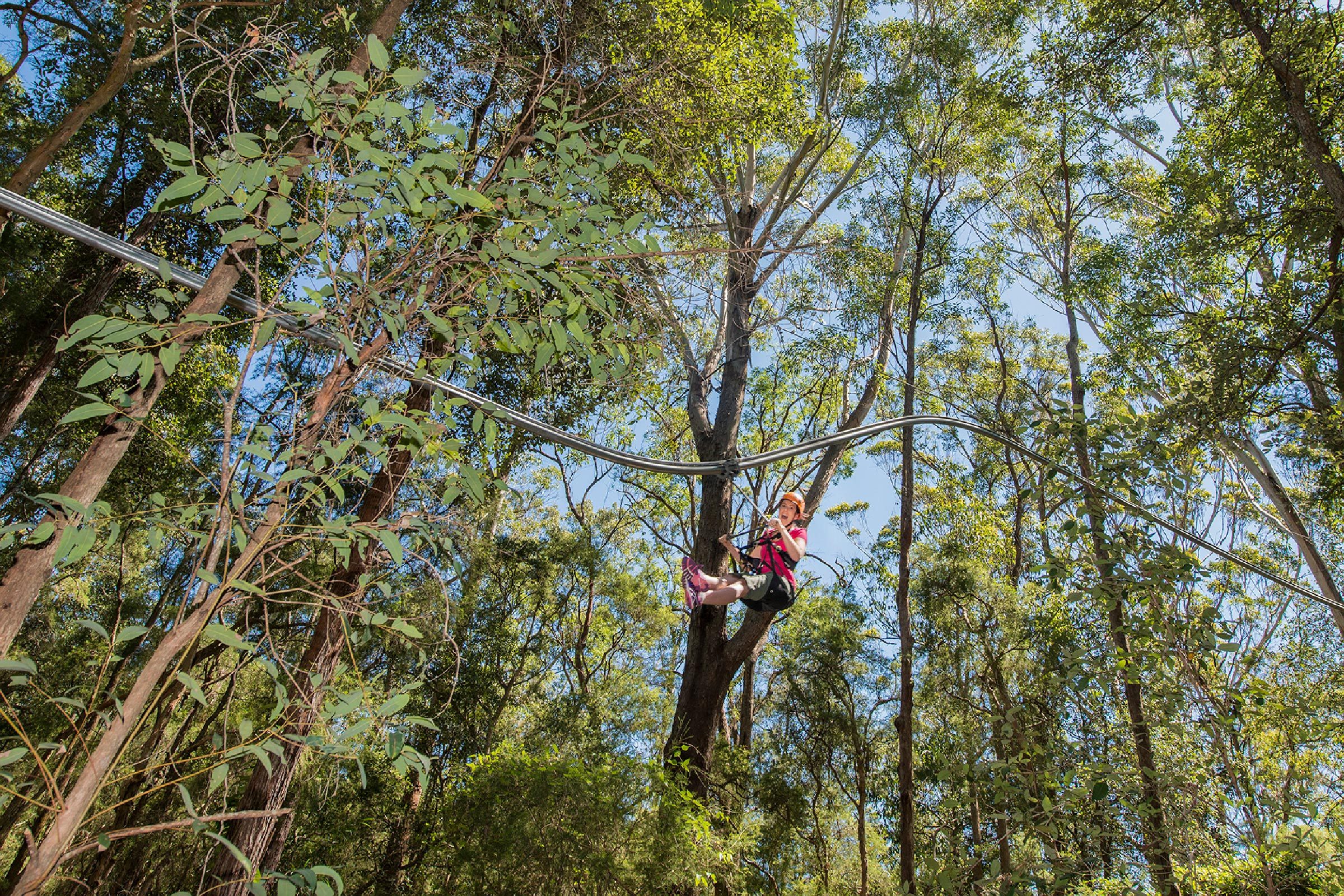 Top 10 Thrilling Zip Lines Worldwide: Adventure and Scenic Splendor