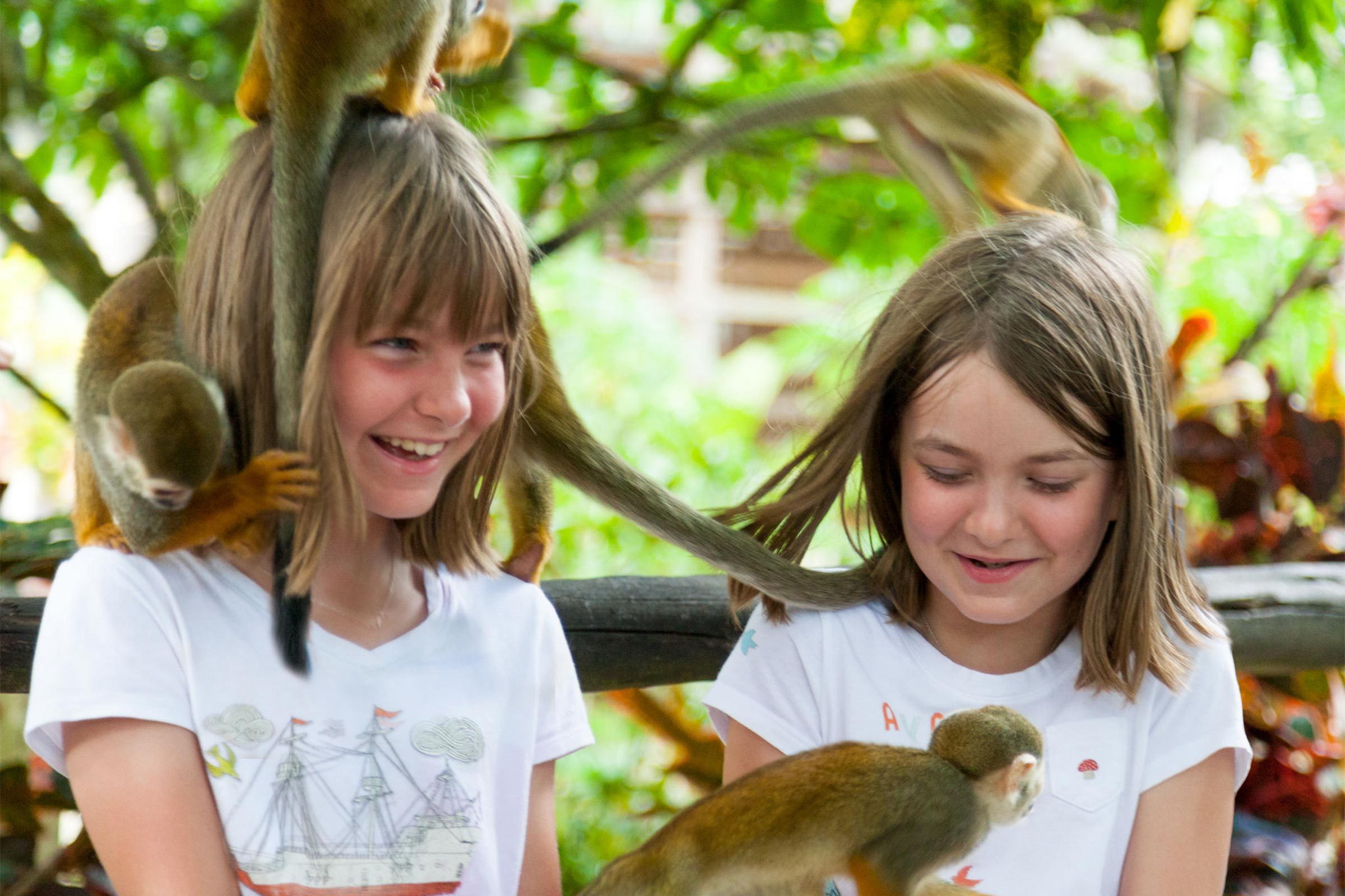 13 Must‑Try Caribbean Delicacies You Won’t Find Anywhere Else