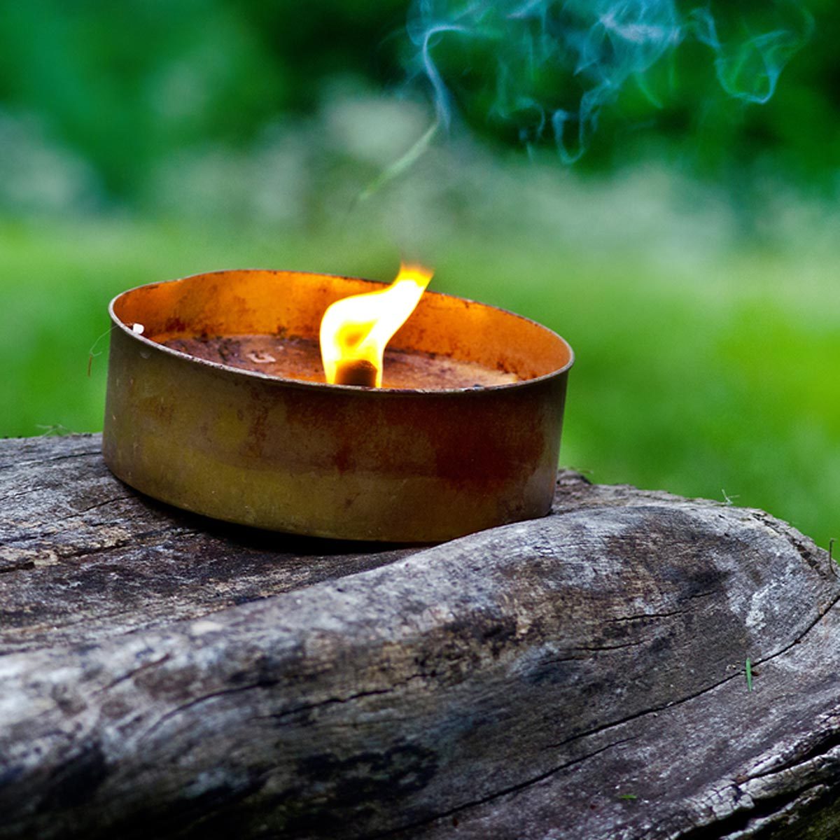 Debunking 7 Common Myths About Mosquito Control