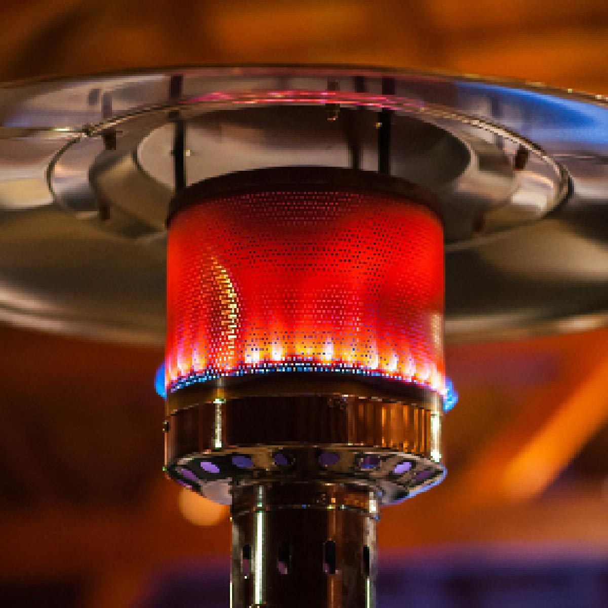 Debunking 7 Common Myths About Mosquito Control