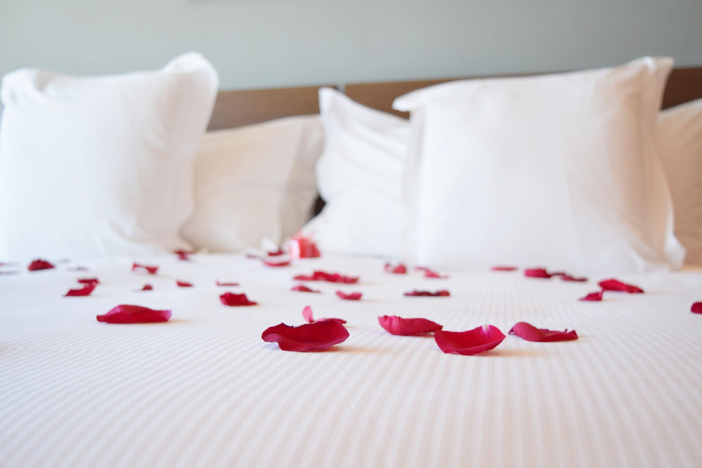 13 Astonishing Events Cruise Staff Have Witnessed on the Job