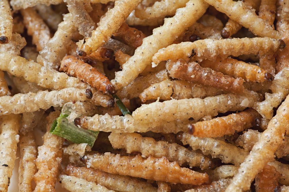 13 Foods That Will Surprise You: What People Really Eat