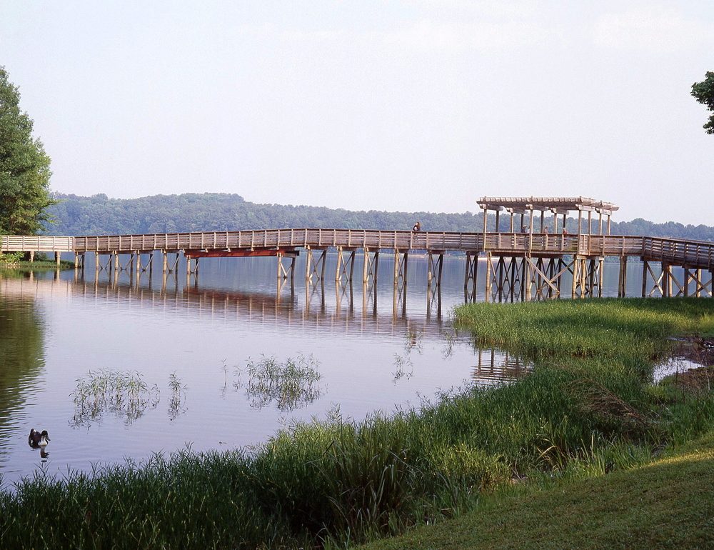 Explore 30 Free U.S. Beach Escapes – No Parking Fees, Lifeguards, and More