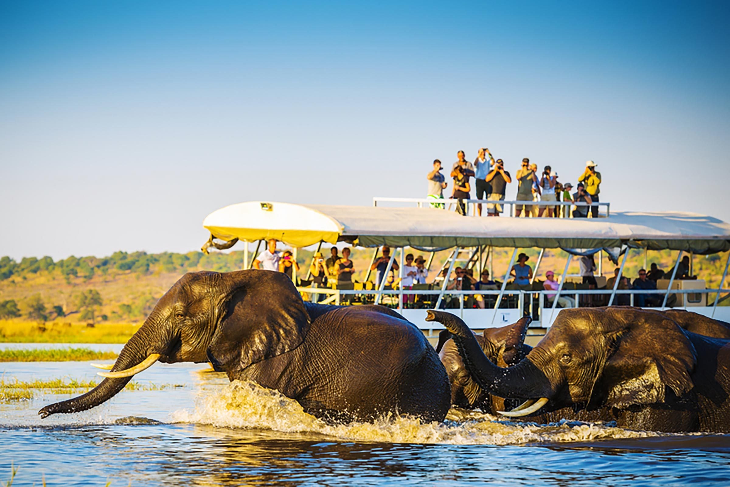 10 Hidden Cruises to Explore Alaska s Inside Passage
