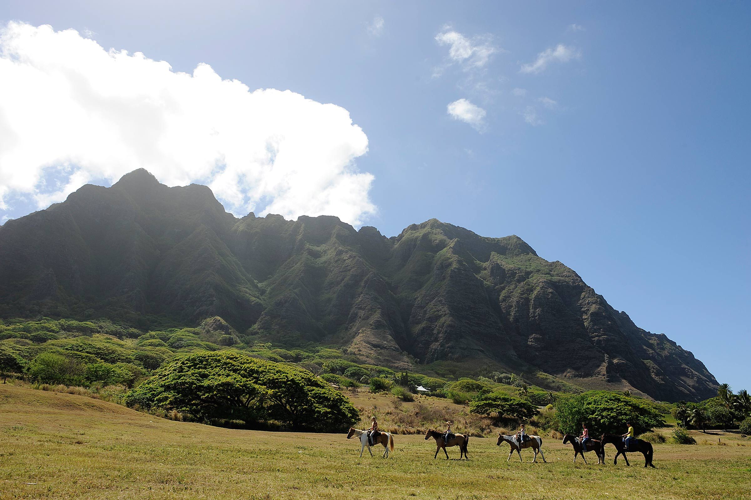 Uncover the Zen Secrets Behind 9 Popular Hawaiian Phrases