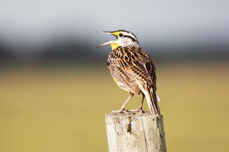 Top 15 U.S. Summer Vacation Destinations