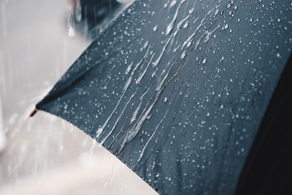 Top 20 Insider Tips to Save Money and Skip Lines at Amusement Parks