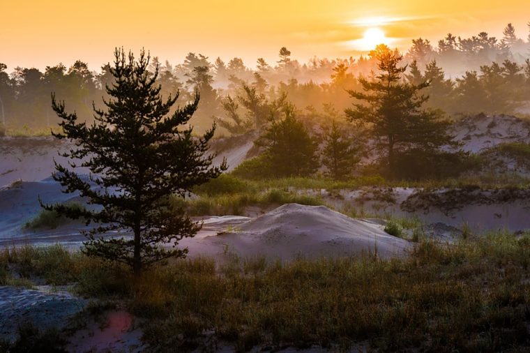 Top 15 Must-Visit American Campgrounds for an Unforgettable Adventure