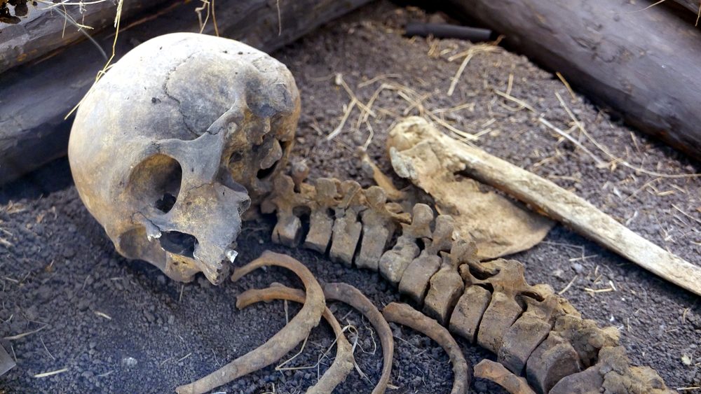 13 Uncanny Secrets Hidden Beneath the Ocean’s Depths