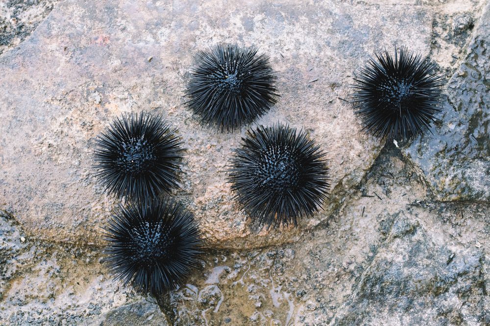 12 Hidden Beach Hazards You Must Know About