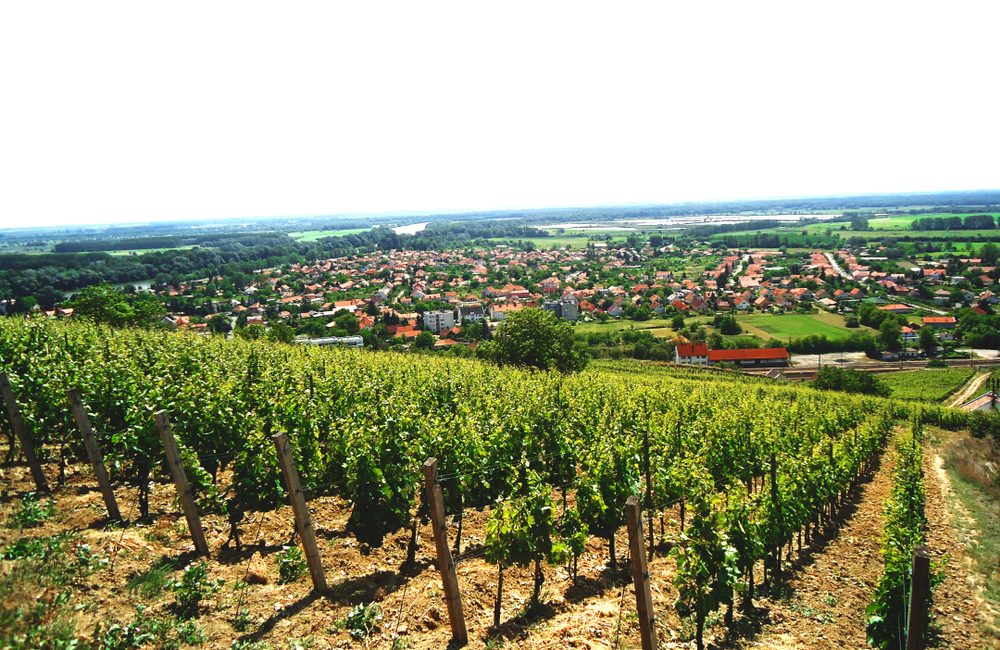 Explore Europe on a Budget: 10 Unforgettable Trips Under $400