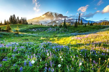 Top 10 Solo Getaways You Must Experience