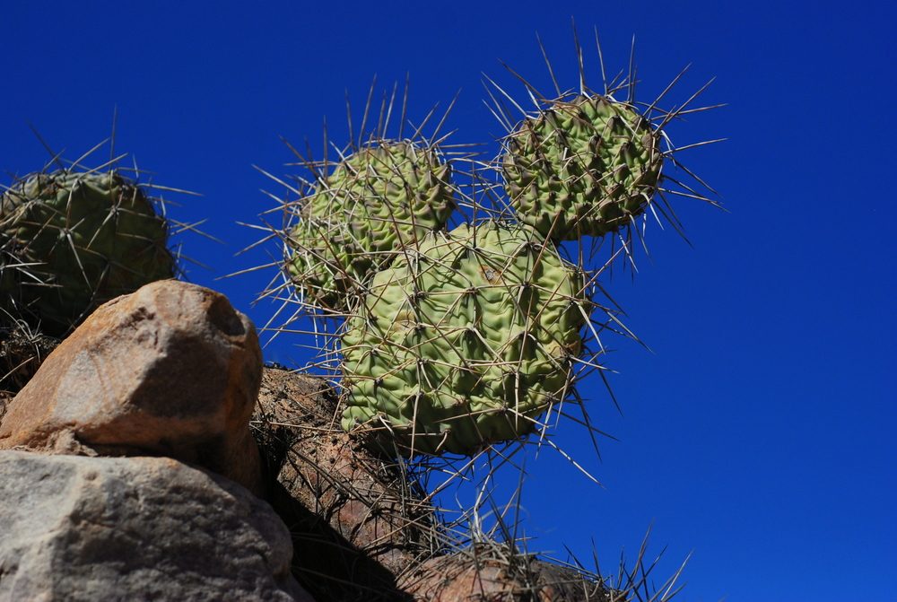 14 Expert Tips from a Disney World Insider