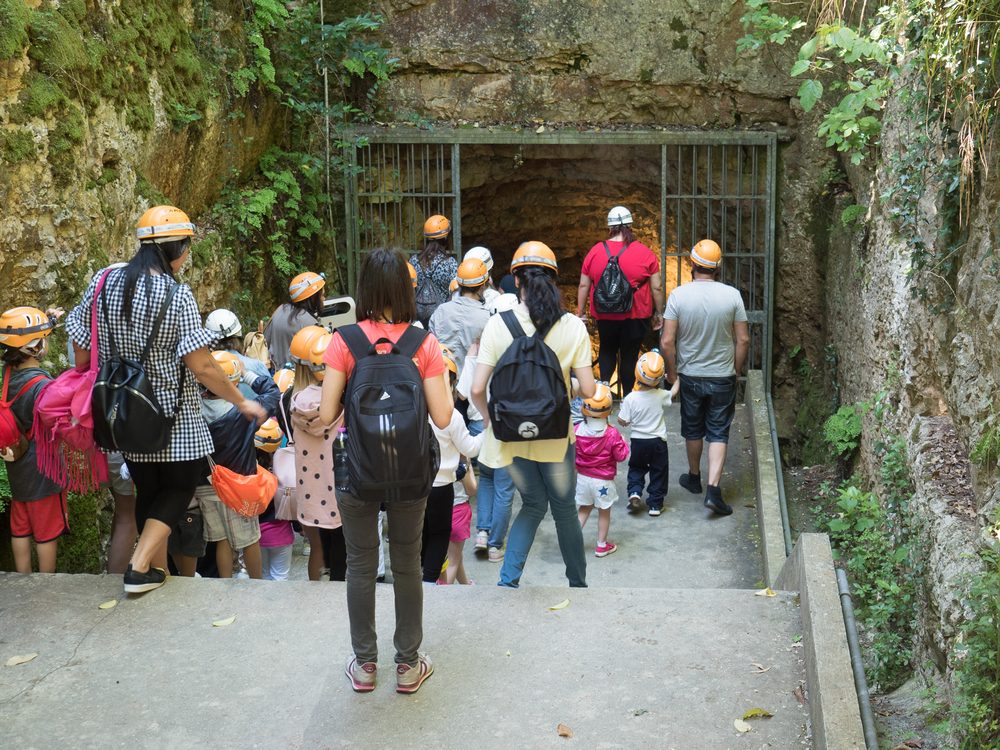 14 Expert Tips from a Disney World Insider