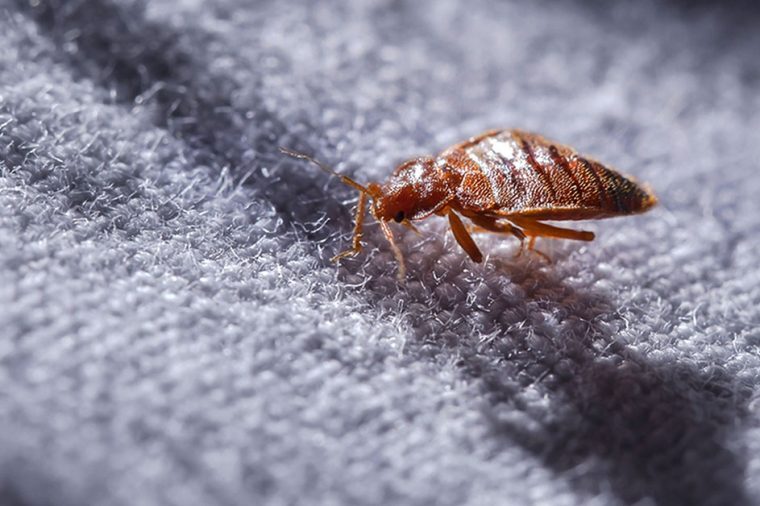 Stay Safe & Secure: 22 Expert Tips for a Peaceful Hotel Experience