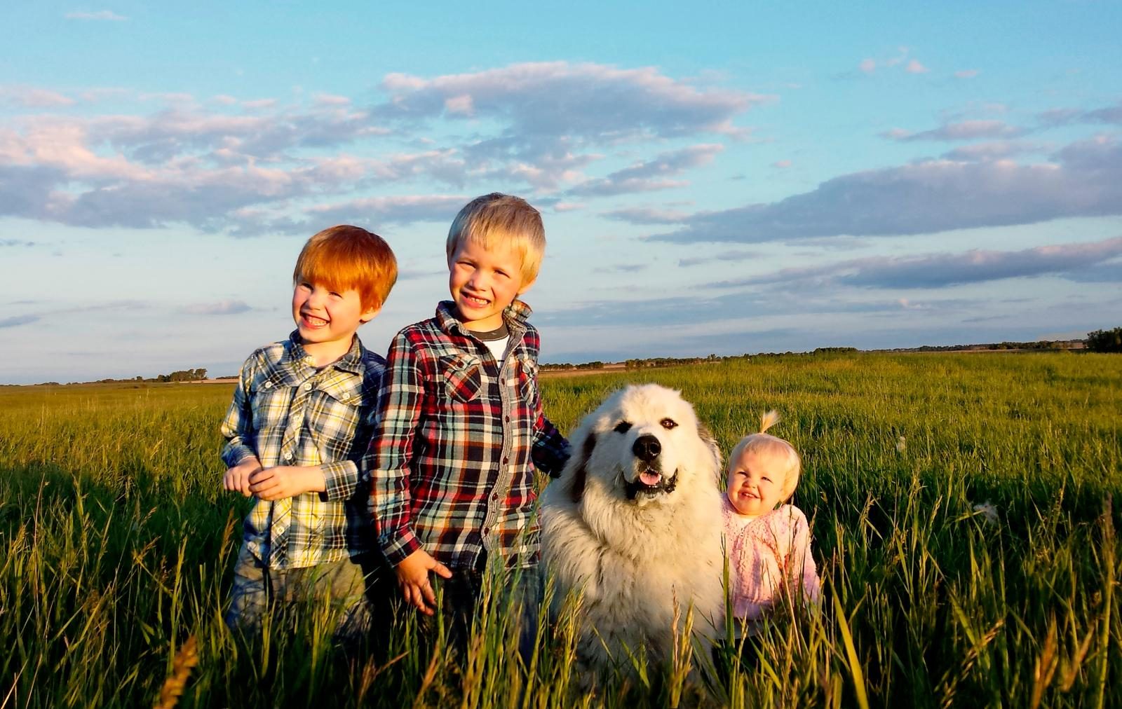 18 Proven Smartphone Tricks for Perfect Vacation Photos