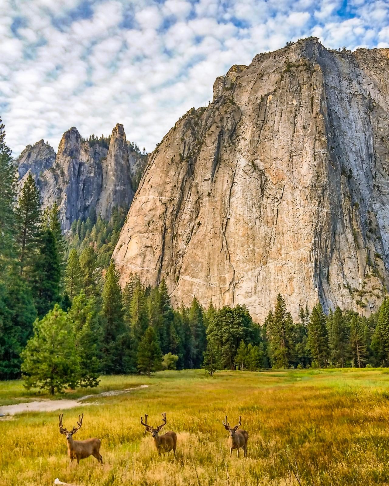 18 Proven Smartphone Tricks for Perfect Vacation Photos