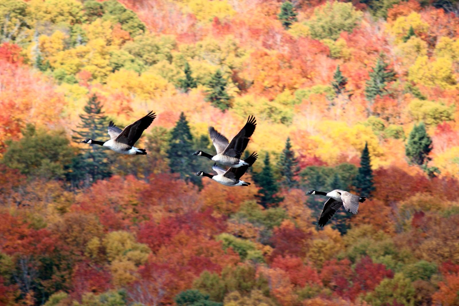 18 Proven Smartphone Tricks for Perfect Vacation Photos