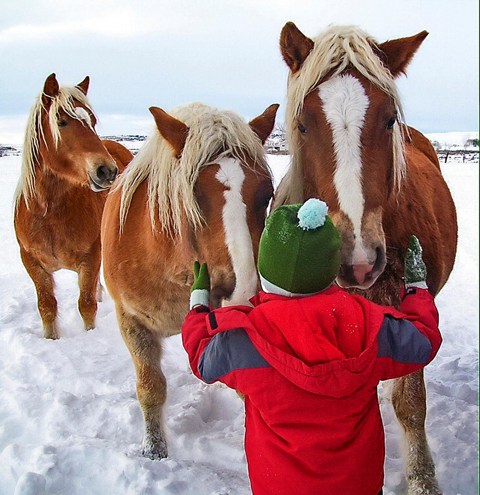 18 Proven Smartphone Tricks for Perfect Vacation Photos