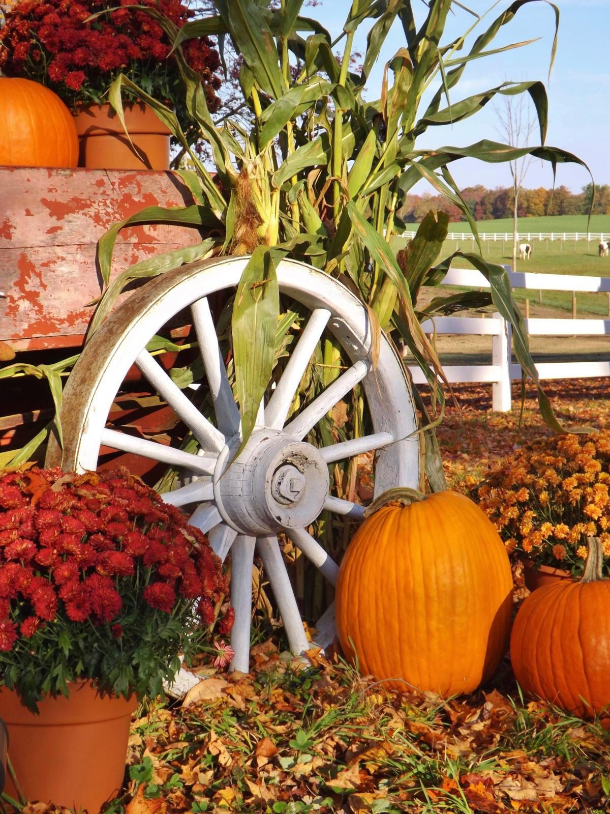 18 Proven Smartphone Tricks for Perfect Vacation Photos