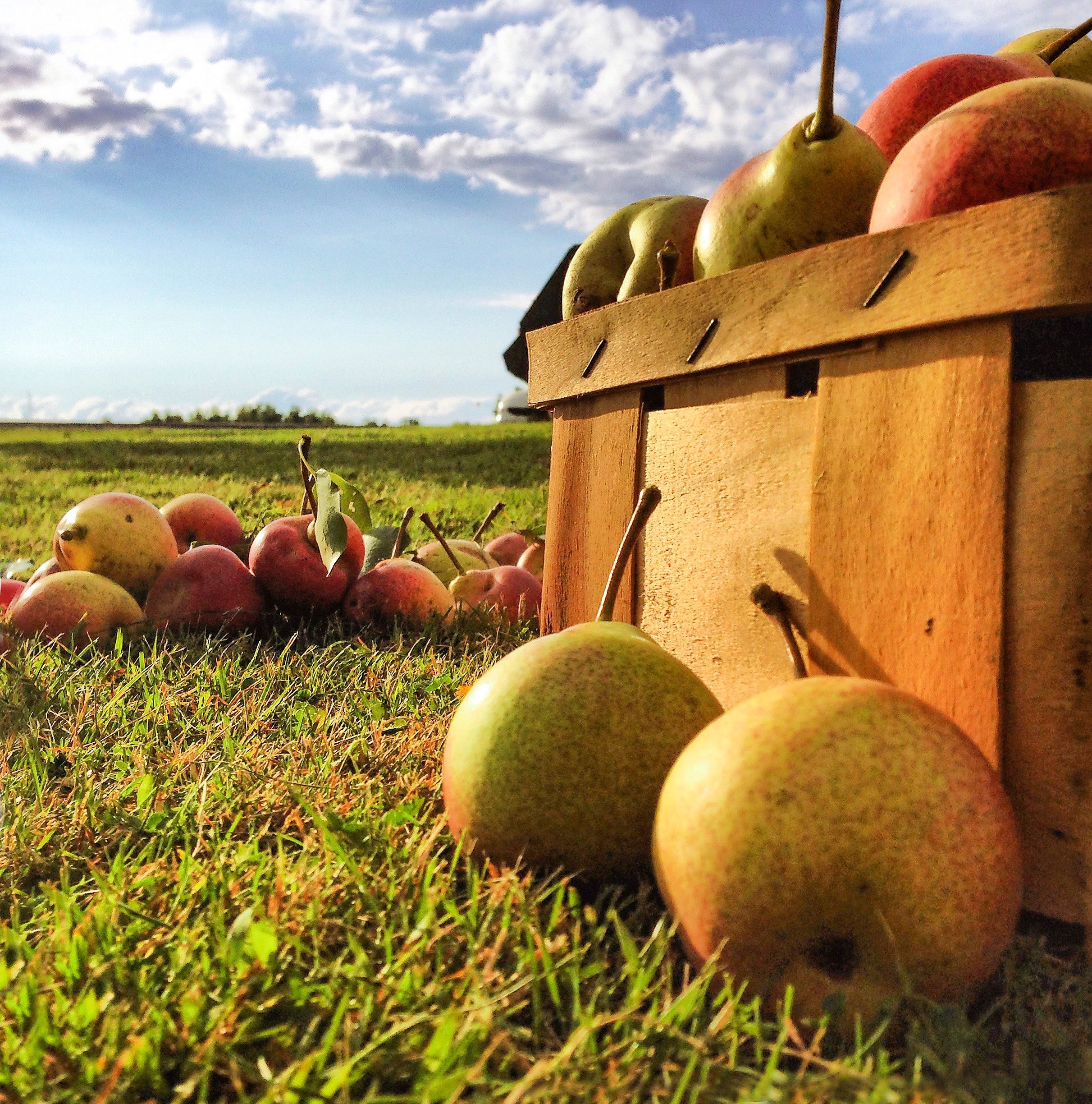 18 Proven Smartphone Tricks for Perfect Vacation Photos