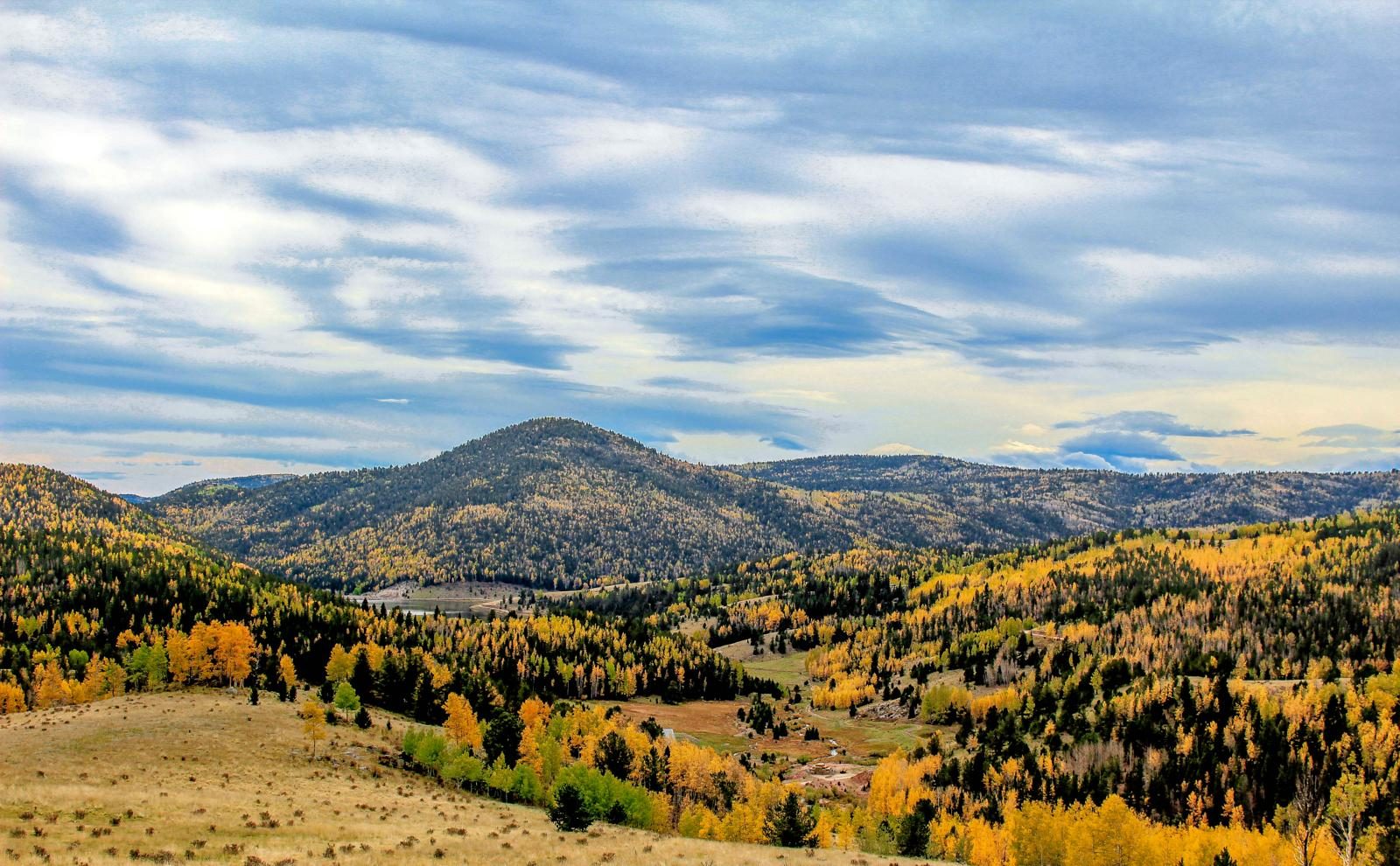 18 Proven Smartphone Tricks for Perfect Vacation Photos